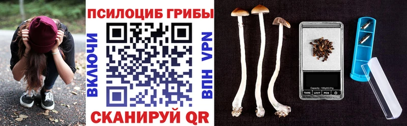 Галлюциногенные грибы ЛСД  купить   Партизанск 